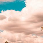 Clima hoy en Riverside-San Bernardino, Estados Unidos: el pronóstico del tiempo para este martes 28 octubre de 2025